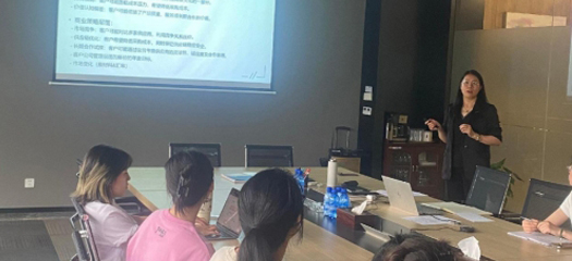 Revisione della strategia di vendita Q1 2025 e sessione di condivisione della negoziazione dei clienti